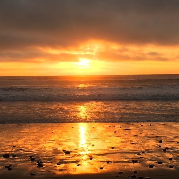 Meet your Posher, Kate - Picture 1 of 1